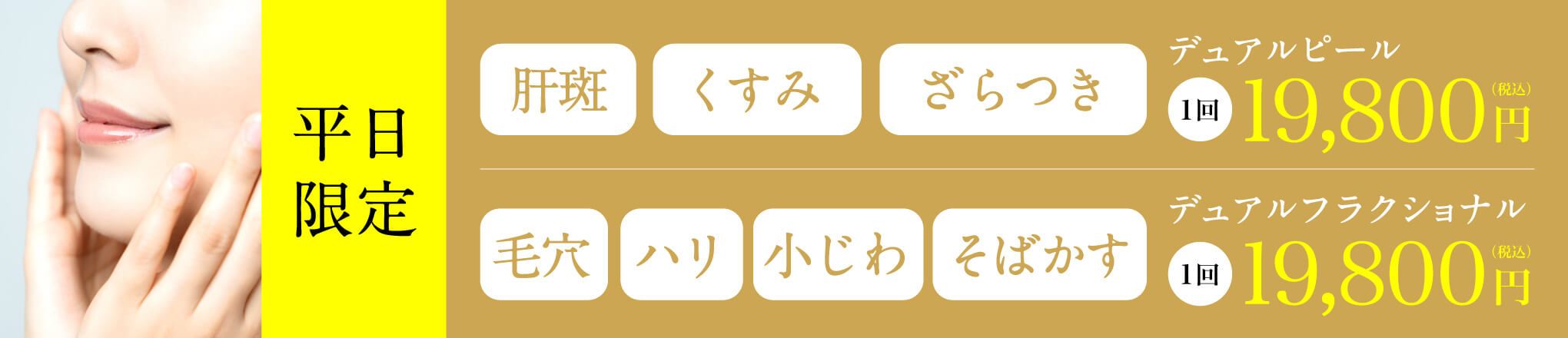デュアルピール・デュアルフラクショナル